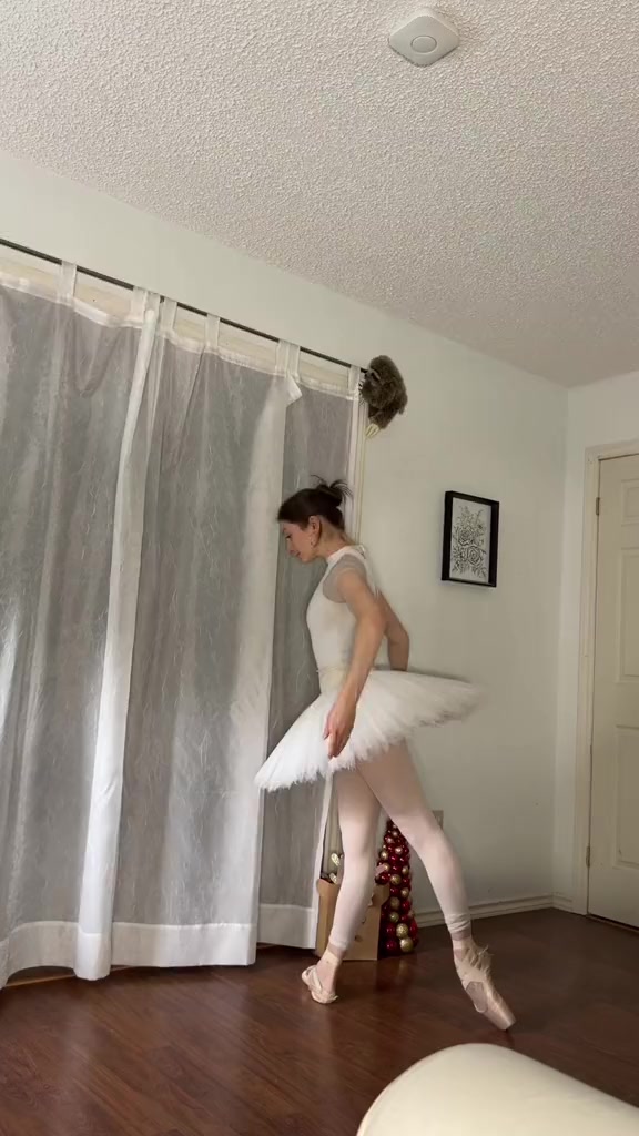 Swan Lake Ballet